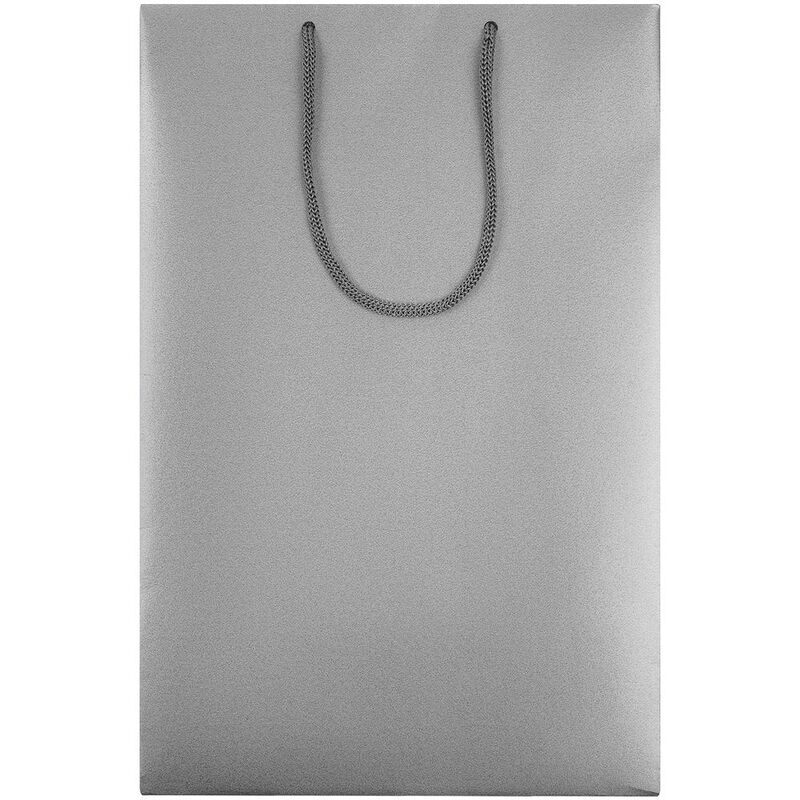 Пакет бумажный &laquo;Блеск&raquo;, средний, серебристый арт.5867.10