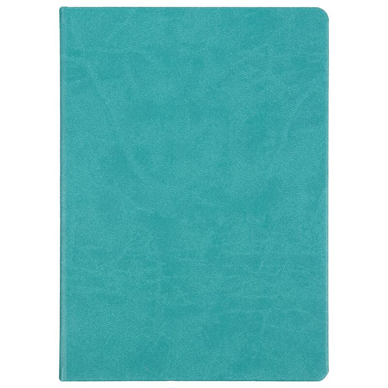 Ежедневник Basis, датированный, бирюзовый арт.2842.49