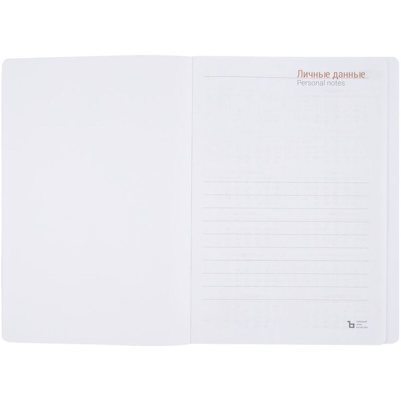 Ежедневник Basis, датированный, красный арт.2842.50