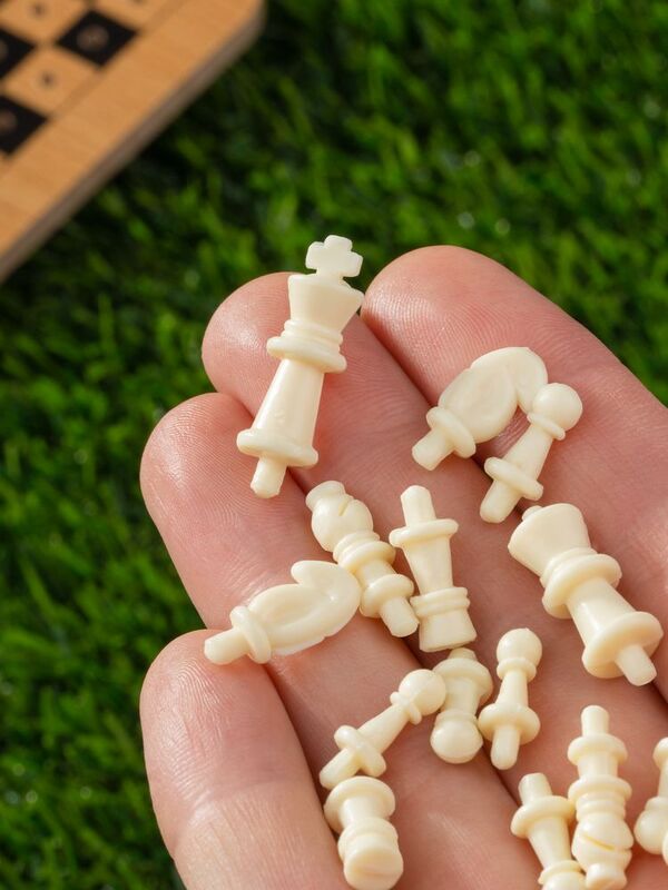 Шахматы дорожные Damier арт.3446.30