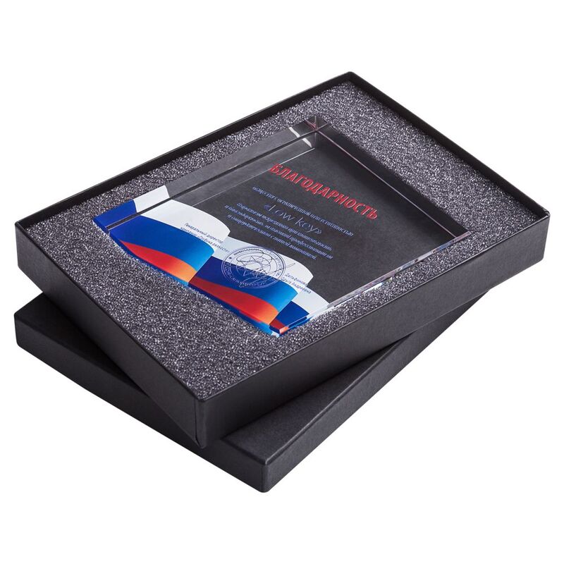 Награда &laquo;Точка опоры&raquo; арт.7788.00