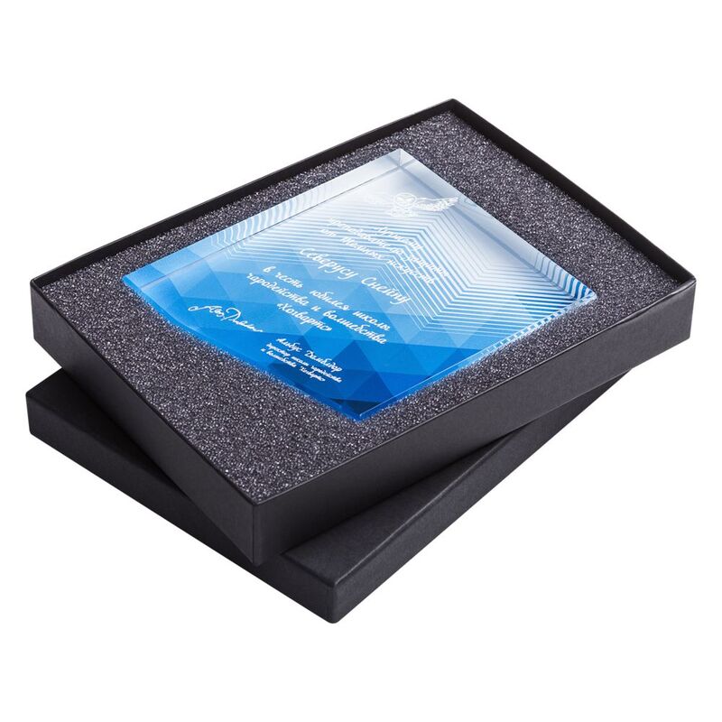 Награда &laquo;Точка опоры&raquo; арт.7788.00