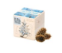 Набор для выращивания &laquo;Экокуб&raquo;, ель голубая арт.3431