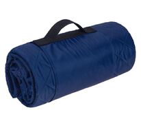 Плед для пикника Comfy, ярко-синий арт.3368.44