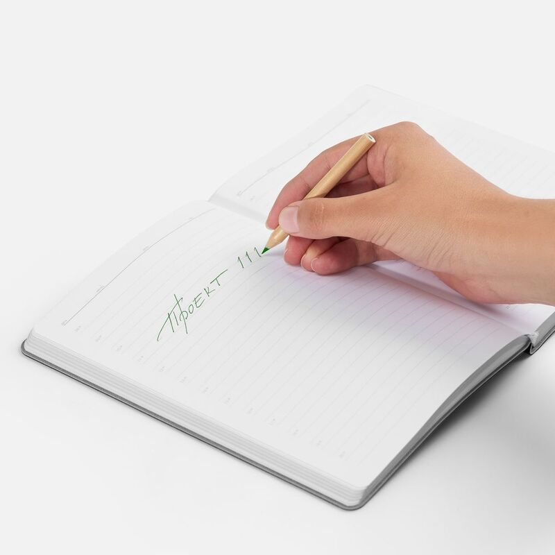 Набор цветных карандашей Pencilvania Mini, крафт арт.6902.00