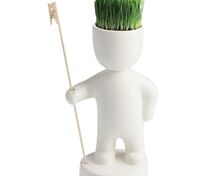 Набор для выращивания Funky Headman арт.10111.01