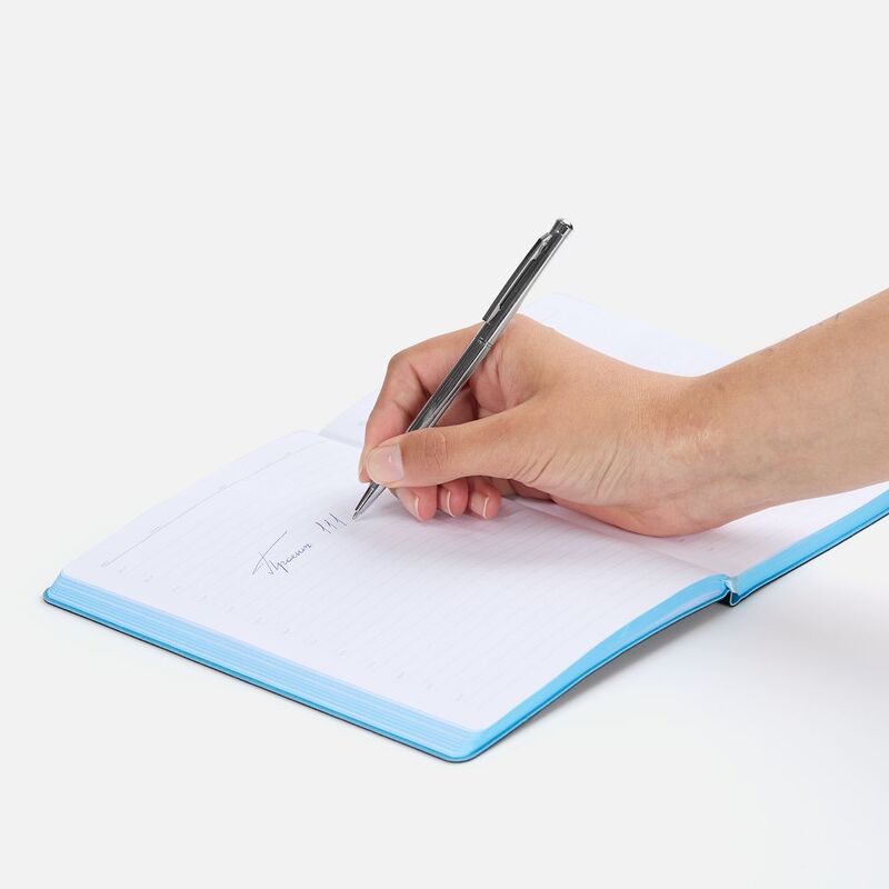 Ручка шариковая Hotel Ferra, серебристая арт.11231