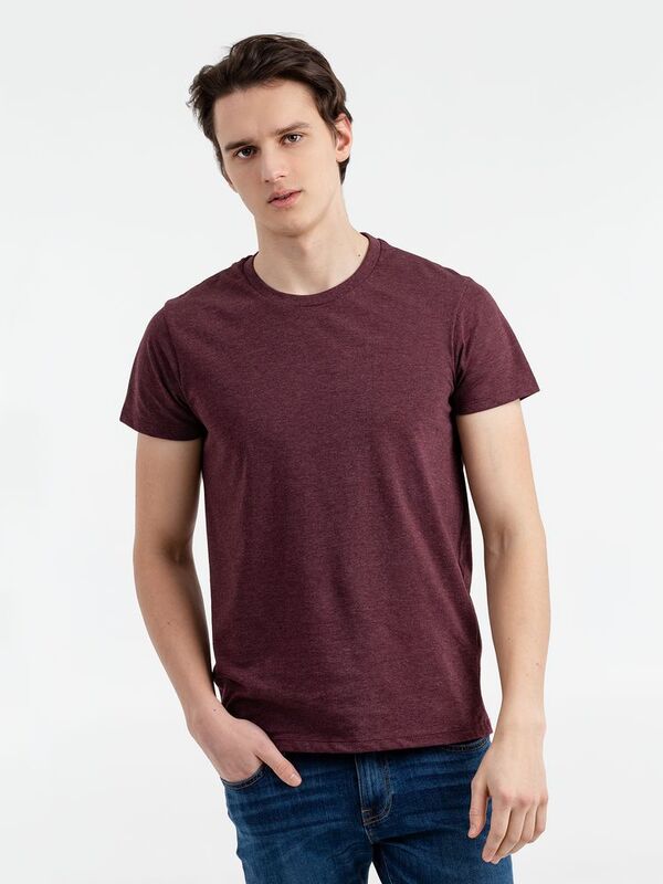 Футболка мужская Regent Fit 150, бордовый меланж арт.00553148