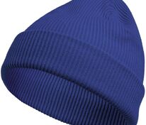 Шапка Life Explorer, ярко-синяя (василек) арт.11060.44