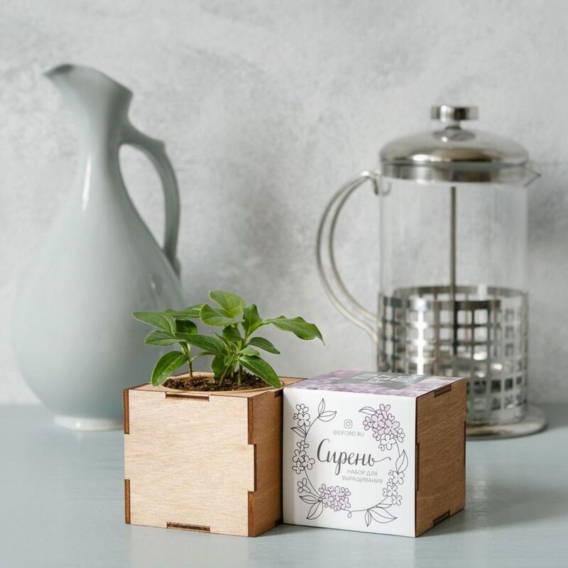 Набор для выращивания &laquo;Экокуб Lite&raquo;, сирень арт.10607.01