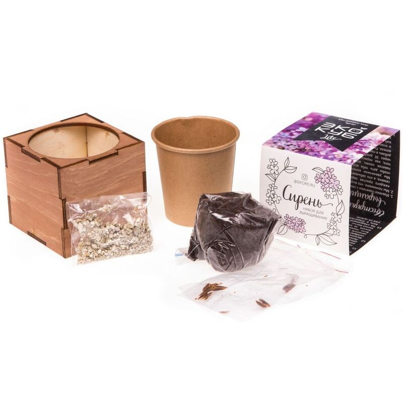 Набор для выращивания &laquo;Экокуб Lite&raquo;, сирень арт.10607.01