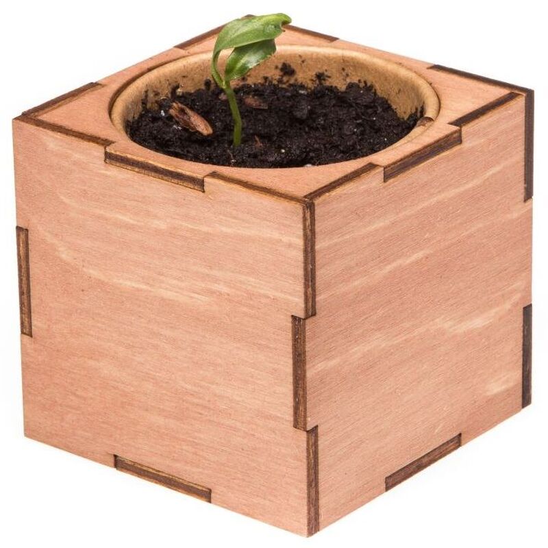 Набор для выращивания &laquo;Экокуб Lite&raquo;, сирень арт.10607.01