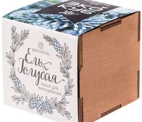 Набор для выращивания &laquo;Экокуб Lite&raquo;, ель голубая арт.10607.02