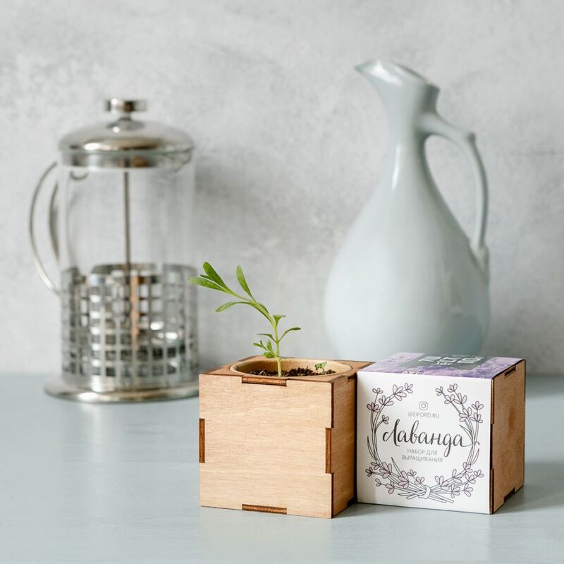Набор для выращивания &laquo;Экокуб Lite&raquo;, лаванда арт.10607.04