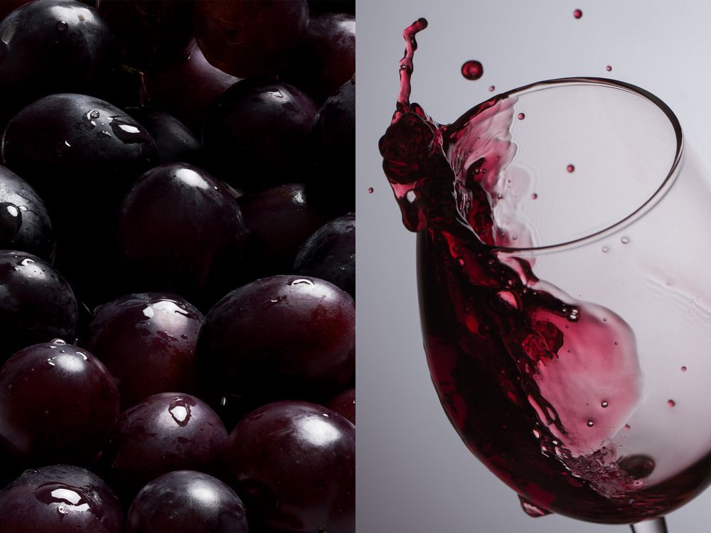 Бокал для вина &laquo;Энотека&raquo; арт.11222.00