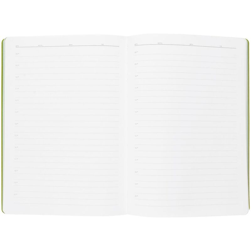 Ежедневник Flexpen, недатированный, серебристо-зеленый арт.11087.19