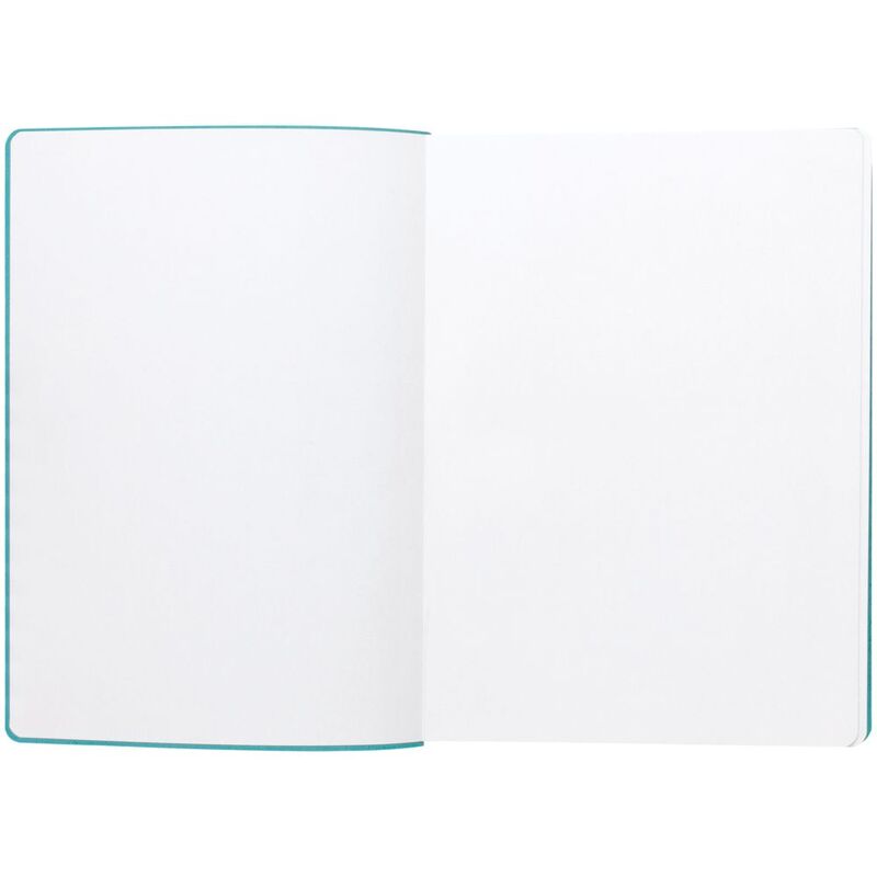 Ежедневник Flexpen, недатированный, серебристо-бирюзовый арт.11087.49