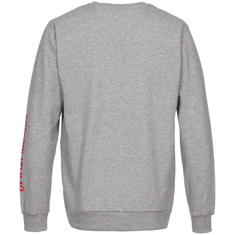 Толстовка &laquo;Ногиотушей&raquo;, серый меланж арт.70583.11