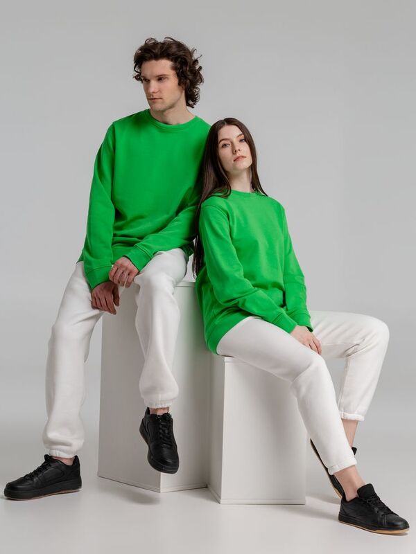 Свитшот унисекс BNC Inspire (Organic), зеленый арт.WU31B515