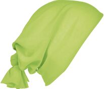 Многофункциональная бандана Bolt, зеленое яблоко арт.03094280TUN