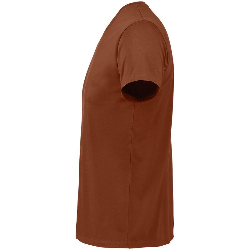 Футболка мужская Regent Fit 150, коричневая (терракотовая) арт.00553407