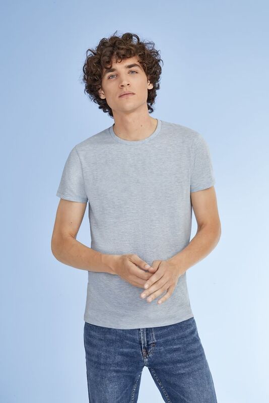 Футболка мужская Regent Fit 150, коричневая (терракотовая) арт.00553407