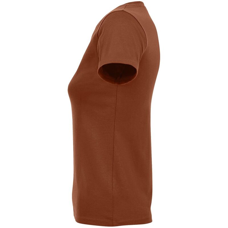 Футболка женская Regent Fit Women, коричневая (терракотовая) арт.02758407