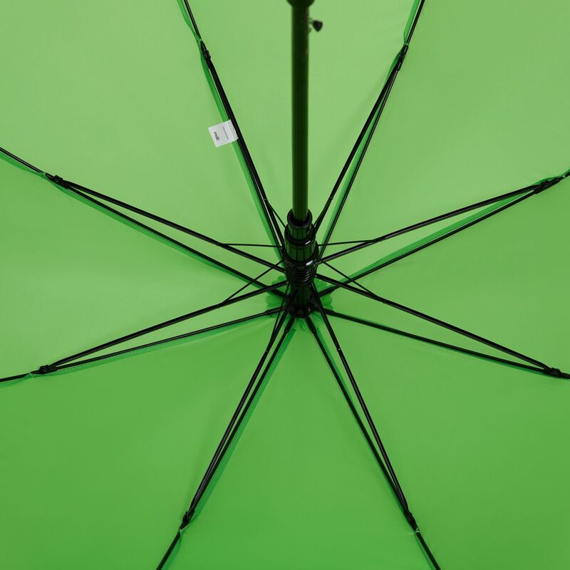 Зонт-трость Standard, зеленое яблоко арт.12393.94