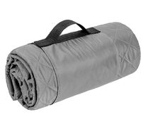 Плед для пикника Comfy, серый арт.3368.10