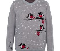 Джемпер Birds and Berries арт.15382.15