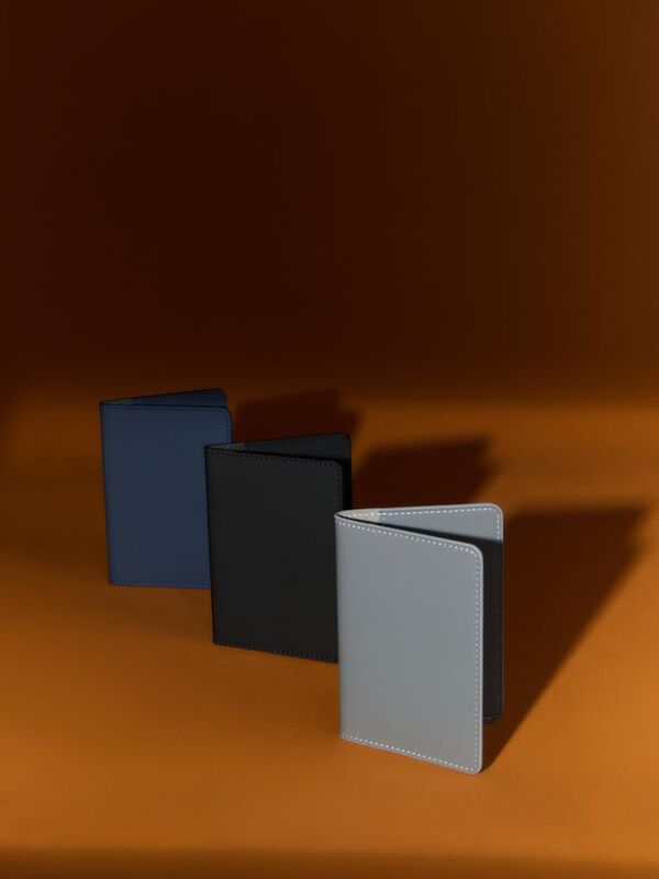 Обложка для паспорта Alaska, серая арт.21008.11