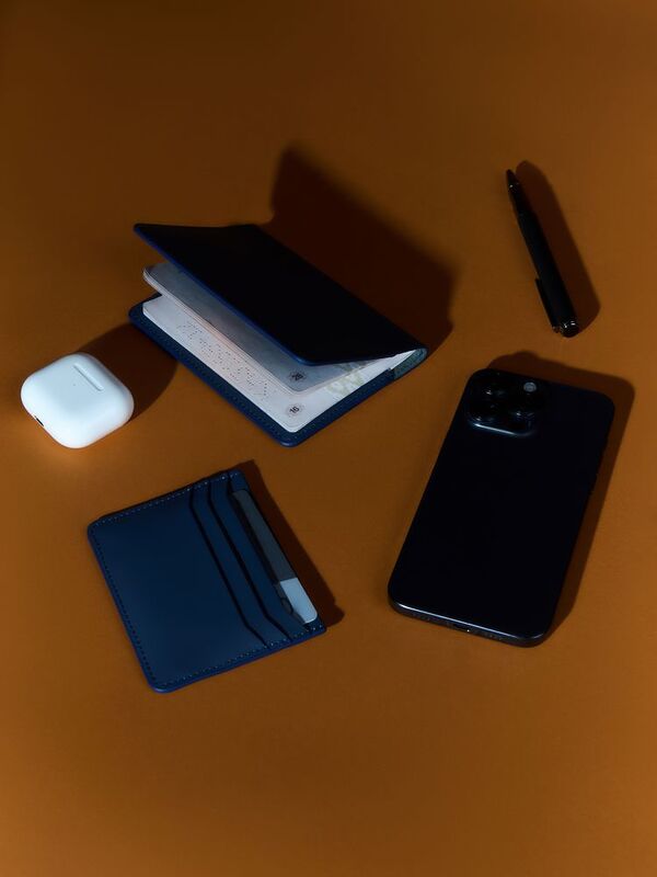 Обложка для паспорта Alaska, синяя арт.21008.44