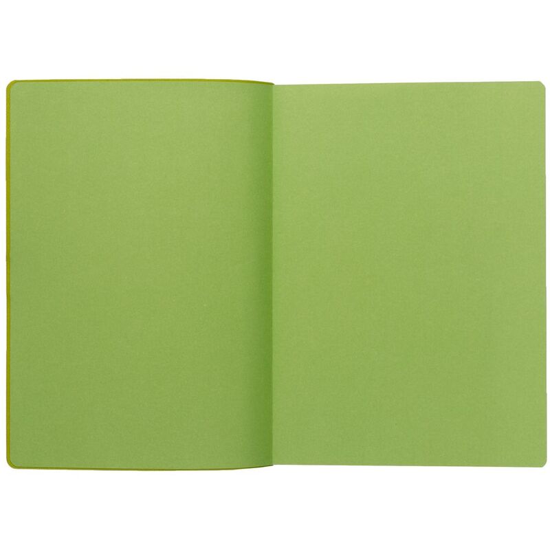 Ежедневник Flexpen Black, недатированный, черный с зеленым арт.13087.39