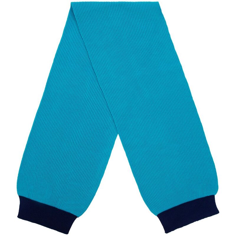 Шарф Snappy, бирюзовый с синим арт.76262.44