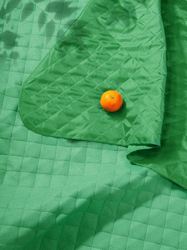 Плед для пикника Soft & Dry, светло-зеленый арт.5624.94