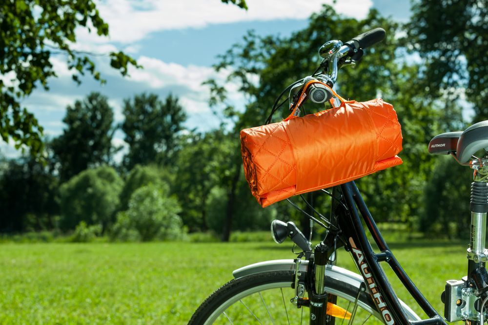 Плед для пикника Comfy, бежевый арт.3368.00