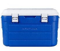Термоконтейнер &laquo;Арктика&raquo;, L, синий арт.13655.40