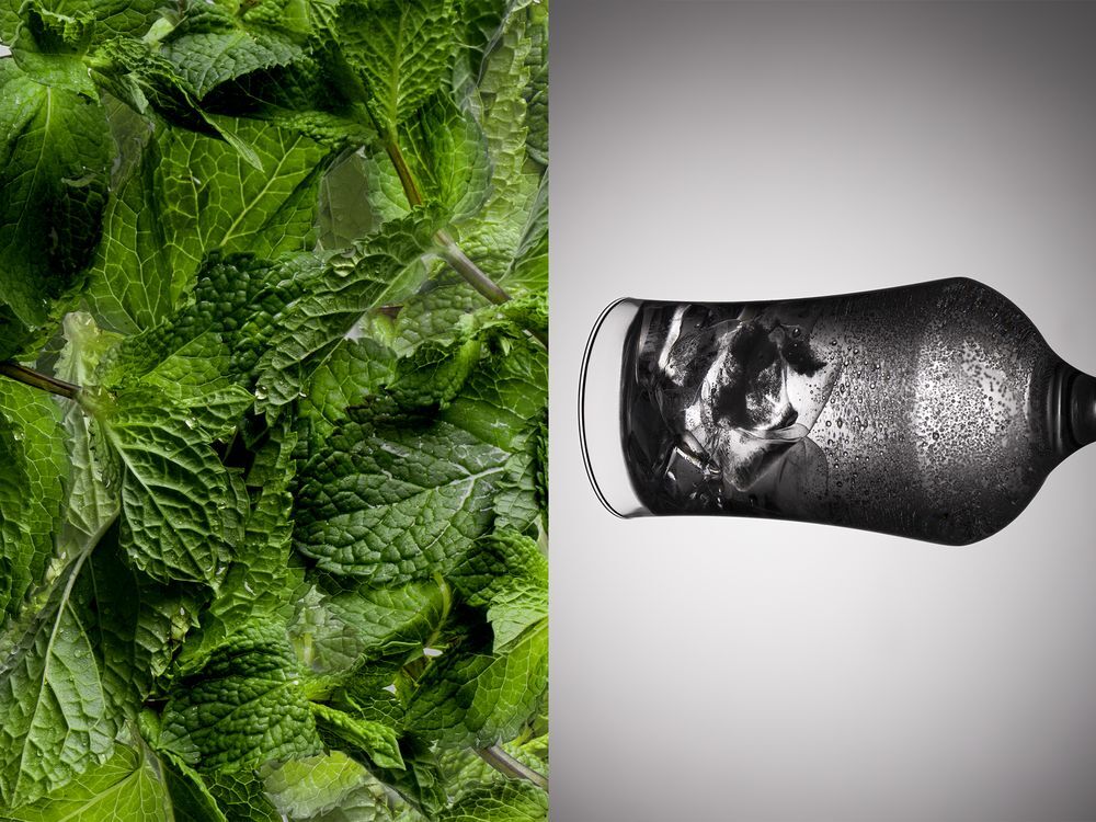 Бокал для пива Tulip арт.38899.00