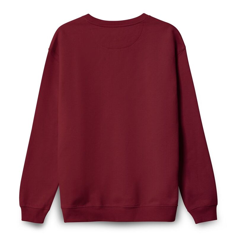 Свитшот унисекс Columbia, бордовый арт.03814146