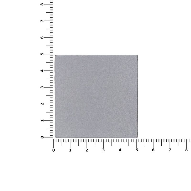 Лейбл светоотражающий Tao, L, серый арт.15944.10