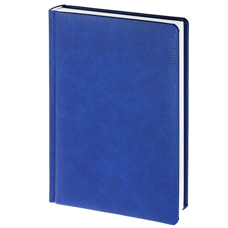 Ежедневник Sagrin, недатированный, синий арт.20422.40