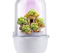 Умная теплица growUp, белая арт.15519.60