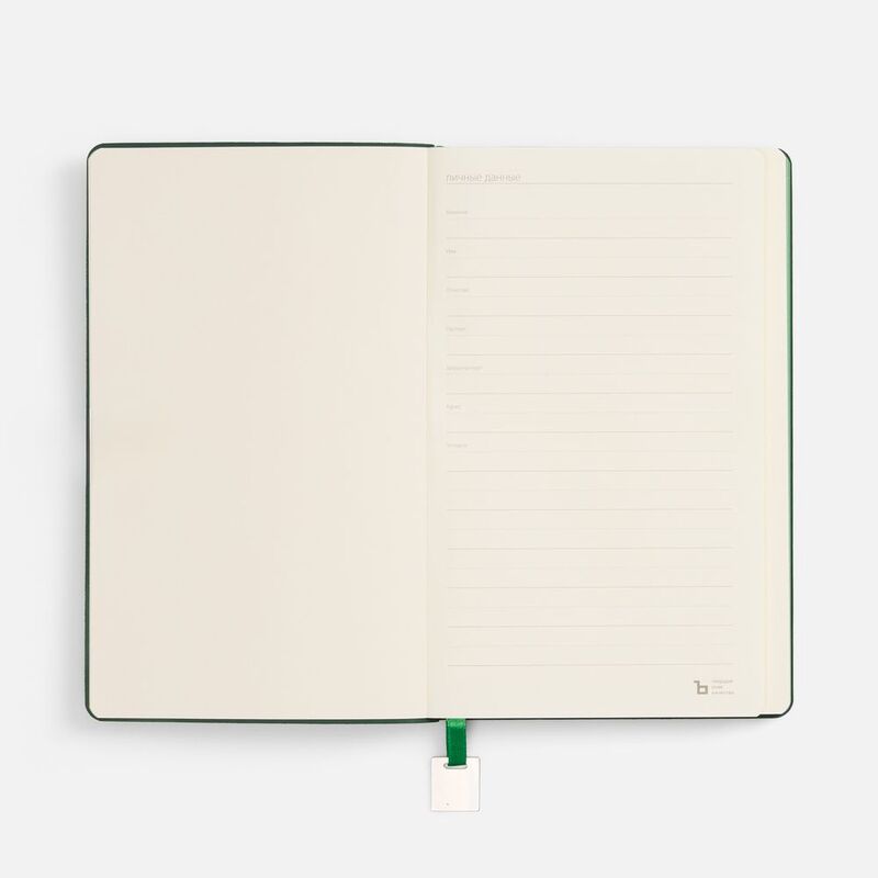 Ежедневник Shall Light, недатированный, зеленый арт.15060.90