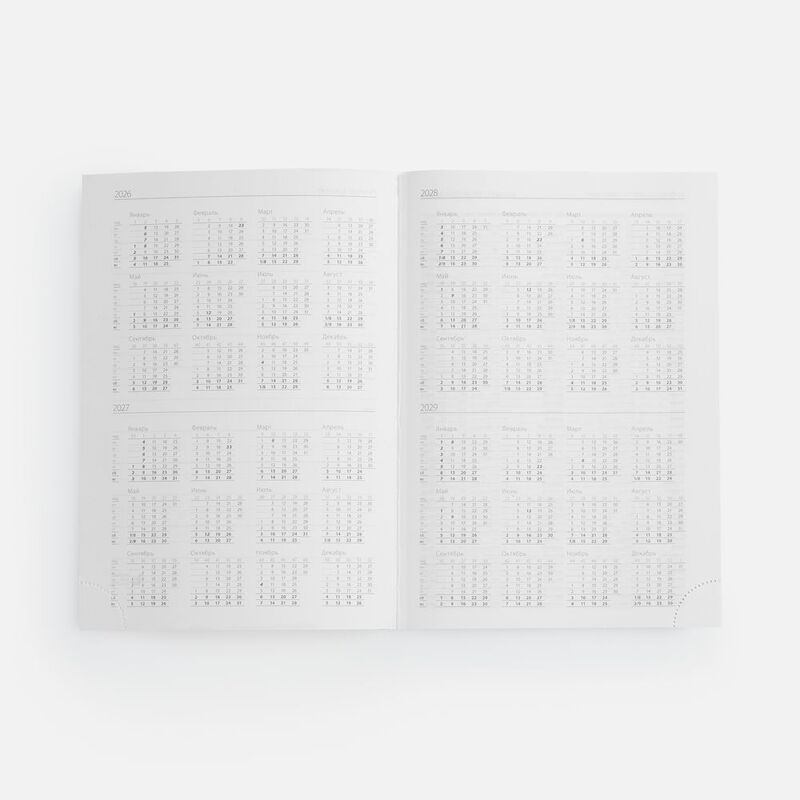 Ежедневник Favor Metal, недатированный, ярко-зеленый арт.17074.99