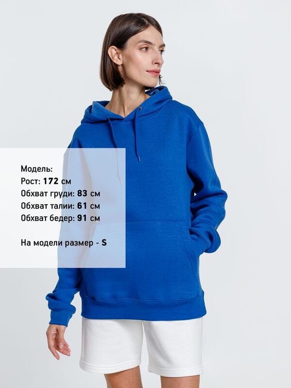 Худи унисекс Phoenix, ярко-синее арт.16276.44