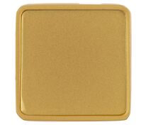 Квадратный шильдик на резинку Epoxi, матовый золотистый арт.16251.00