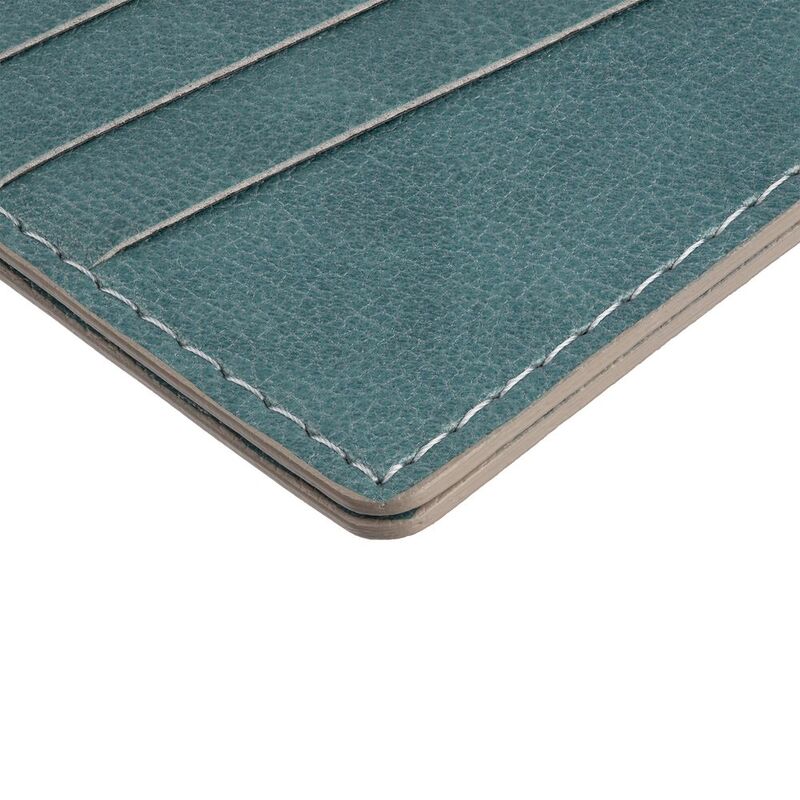 Чехол для карточек Petrus, голубой арт.15528.14