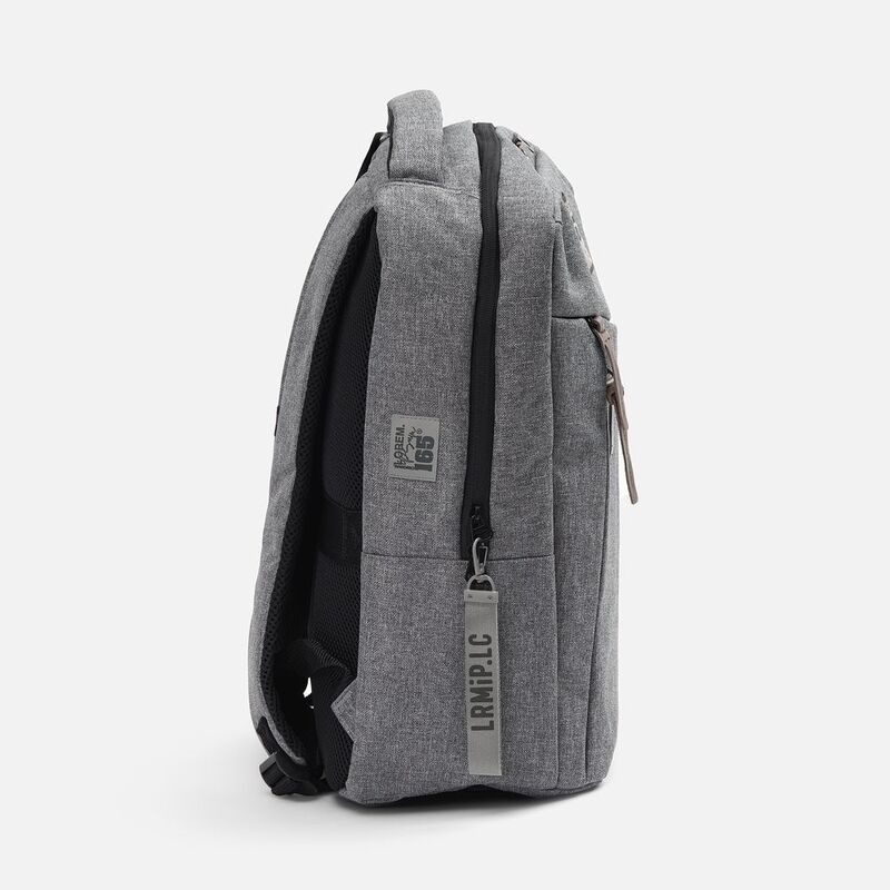 Ремувка Dominus, М, серая арт.16516.11