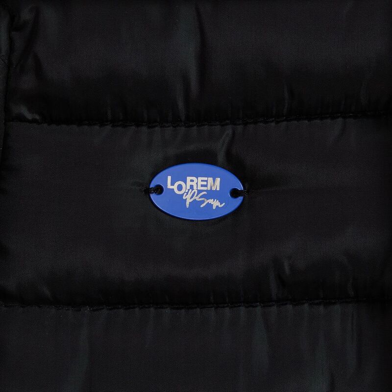 Шильдик металлический Alfa Oval, синий арт.13843.44