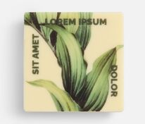 Печенье Dream White в белом шоколаде, квадрат арт.17610.03